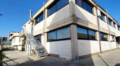 Varie superfici di 528 m² in Porto Sant'Elpidio (63821)