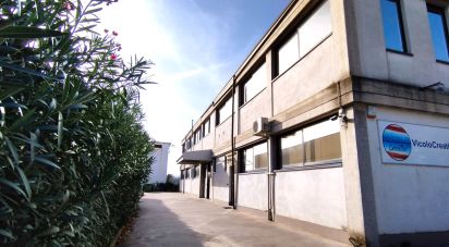 Varie superfici di 528 m² in Porto Sant'Elpidio (63821)
