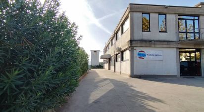 Varie superfici di 528 m² in Porto Sant'Elpidio (63821)