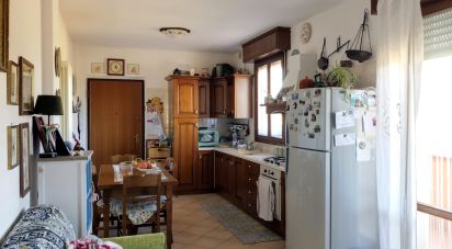 Three-room apartment of 87 sq m in Fano (61032)