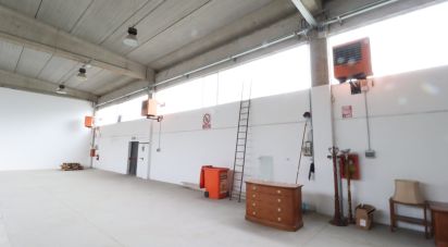 warehouse of 480 sq m in San Giusto Canavese (10090)