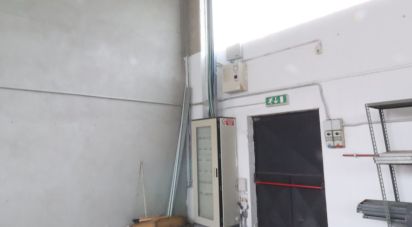 Capannone di 480 m² in San Giusto Canavese (10090)