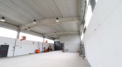 Capannone di 480 m² in San Giusto Canavese (10090)