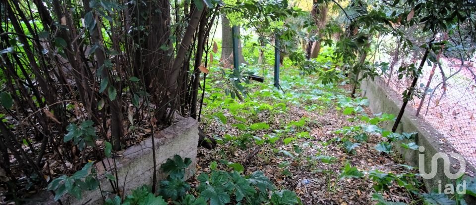 Village house 11 rooms of 257 m² in Belvedere Ostrense (60030)