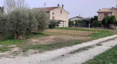 Land of 0 m² in Sant'Elpidio a Mare (63811)