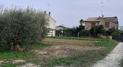 Land of 0 sq m in Sant'Elpidio a Mare (63811)