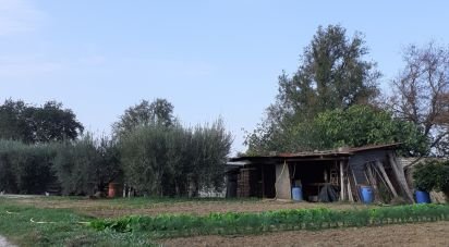 Terreno di 0 m² in Sant'Elpidio a Mare (63811)