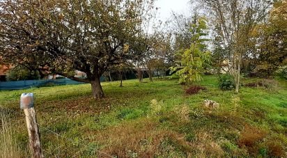Terreno di 1.137 m² in Cureggio (28060)