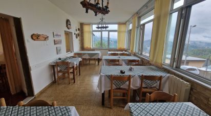Restaurant of 200 sq m in Ceranesi (16014)