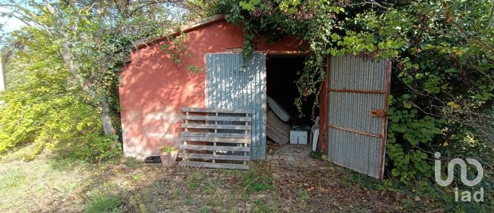 Casa indipendente 9 locali di 300 m² in Treia (62010)