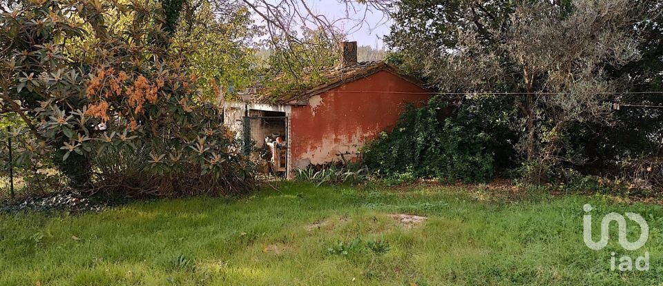 Casa indipendente 9 locali di 300 m² in Treia (62010)