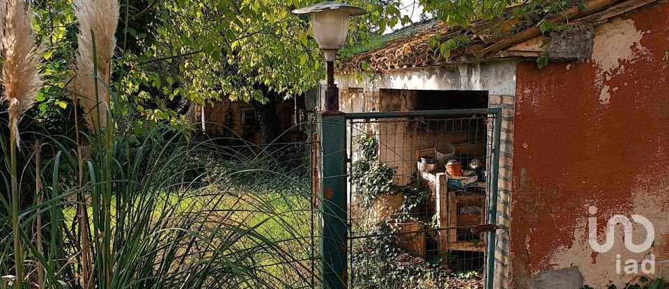 Casa indipendente 9 locali di 300 m² in Treia (62010)