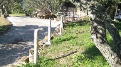 Casa indipendente 6 locali di 181 m² in Casal Velino (84040)