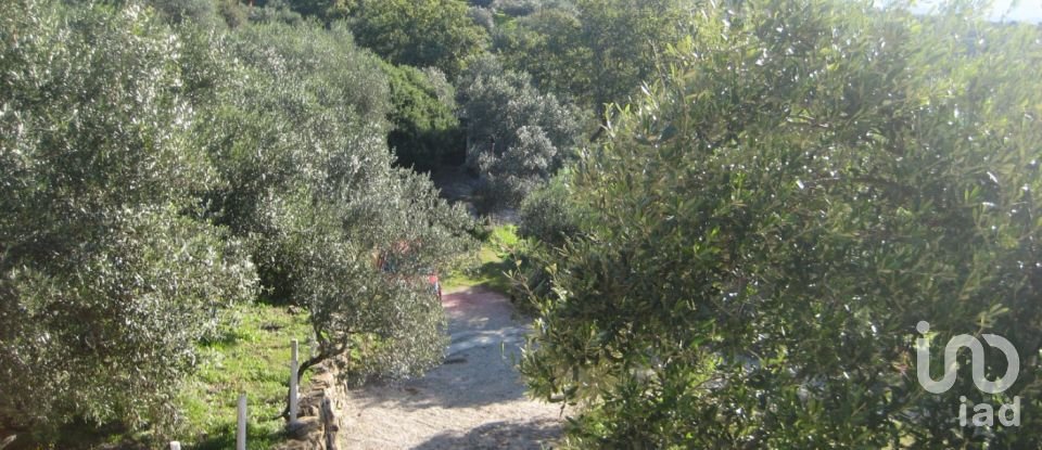 Casa indipendente 6 locali di 181 m² in Casal Velino (84040)