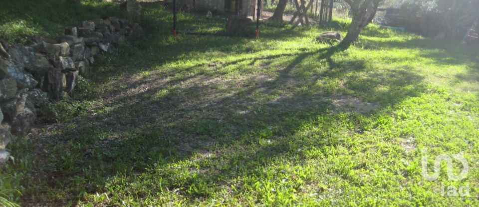 Casa indipendente 6 locali di 181 m² in Casal Velino (84040)