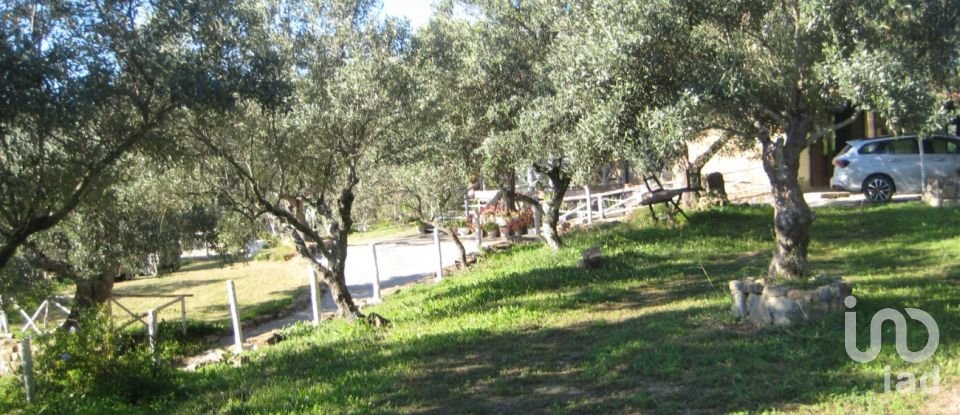 Casa indipendente 6 locali di 181 m² in Casal Velino (84040)