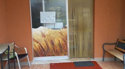 Commercial space of 95 sq m in Senigallia (60019)