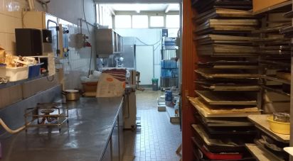 Attività locali di 95 m² in Senigallia (60019)