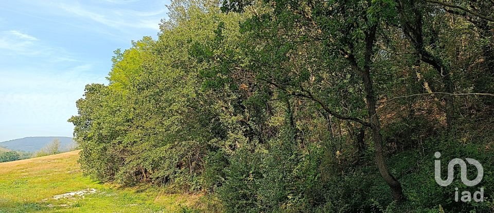 Townhouse 4 rooms of 250 m² in Treia (62010)