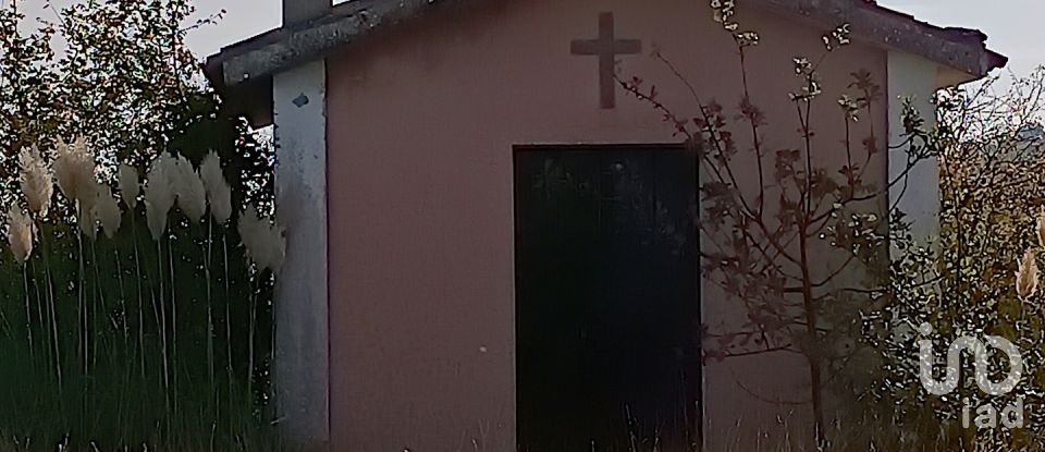 Townhouse 4 rooms of 250 m² in Treia (62010)