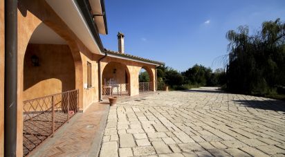 Casale 13 locali di 300 m² in Campagnano di Roma (00063)