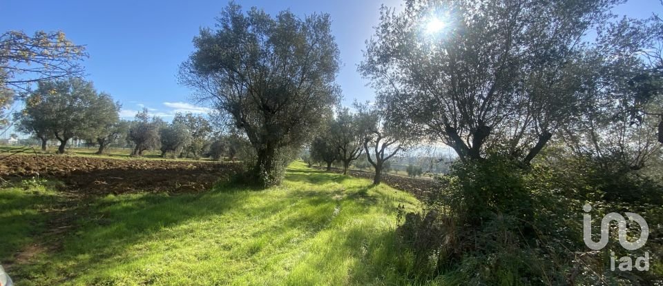 Rustico 5 locali di 250 m² in Giulianova (64021)