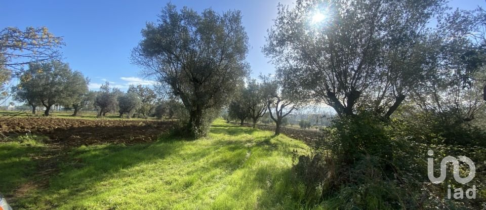 Rustico 5 locali di 250 m² in Giulianova (64021)