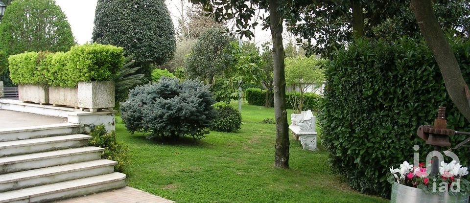 Ristorante di 1.500 m² in Velletri (00049)