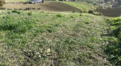 Terreno di 20.000 m² in Castellalto (64020)