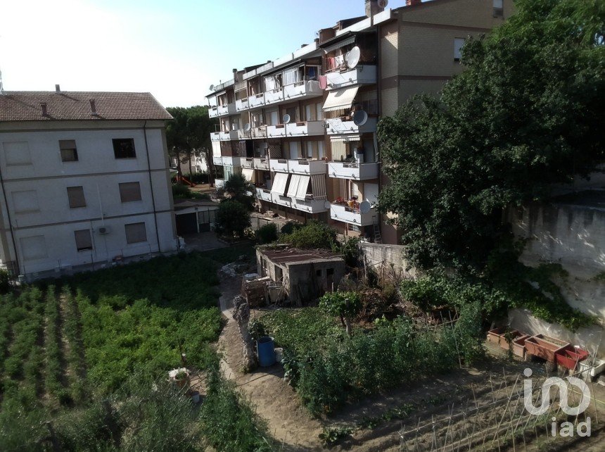 Terreno di 1.000 m² in Sant'Elpidio a Mare (63811)