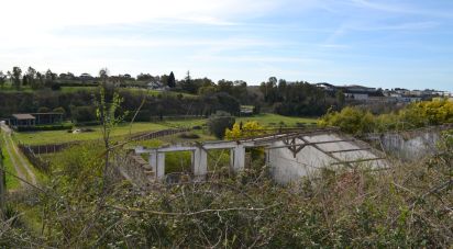 Capannone di 370 m² in Roma (00138)