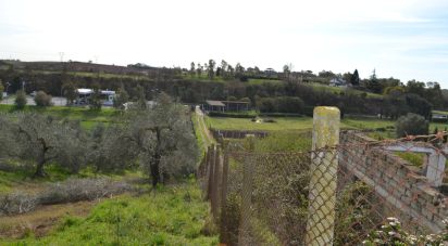 Capannone di 370 m² in Roma (00138)