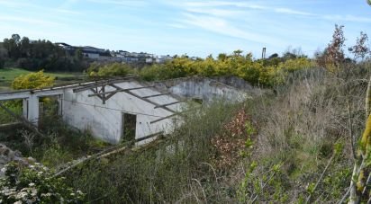 Capannone di 370 m² in Roma (00138)