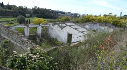 Capannone di 370 m² in Roma (00138)