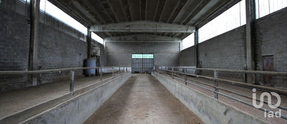 Rustico 15 locali di 300 m² in Carpeneto (15071)