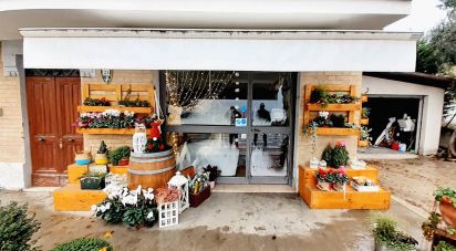 Casa indipendente 7 locali di 120 m² in Sant'Elpidio a Mare (63811)