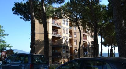Trilocale di 80 m² a San Polo dei Cavalieri (00010)