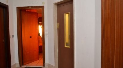 Three-room apartment of 80 sq m in San Polo dei Cavalieri (00010)