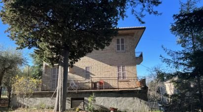 Casa indipendente / Villa 14 locali di 250 m² in Monsampietro Morico (63842)