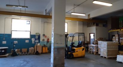 Capannone di 400 m² in Genova (16162)