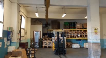 Capannone di 400 m² in Genova (16162)