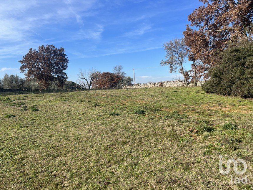 Terreno agricolo di 6.000 m² in Cisternino (72014)