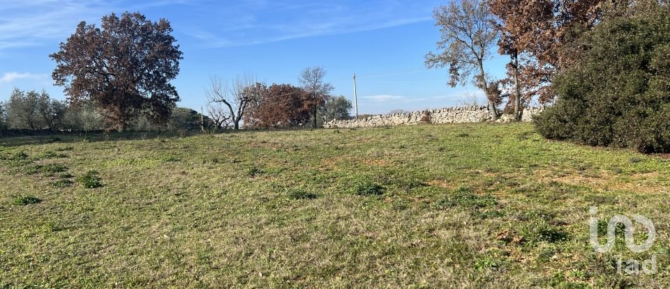 Agricultural land of 6,000 sq m in Cisternino (72014)