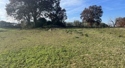 Terreno agricolo di 6.000 m² in Cisternino (72014)