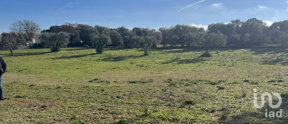 Agricultural land of 6,000 m² in Cisternino (72014)