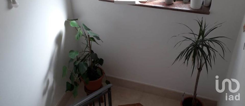 Traditional house 10 rooms of 268 m² in Gizzeria (88040)