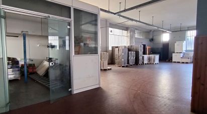 Costruzione di 900 m² in Porto Sant'Elpidio (63821)