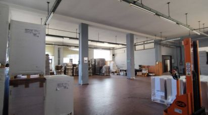 Costruzione di 900 m² in Porto Sant'Elpidio (63821)