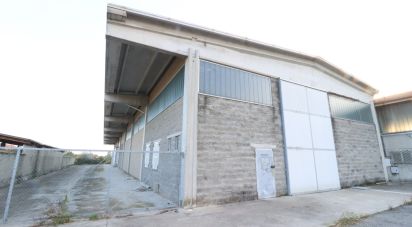 Capannone di 1.000 m² in Rivarolo Canavese (10086)