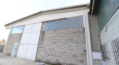 Warehouse of 1,000 m² in Rivarolo Canavese (10086)